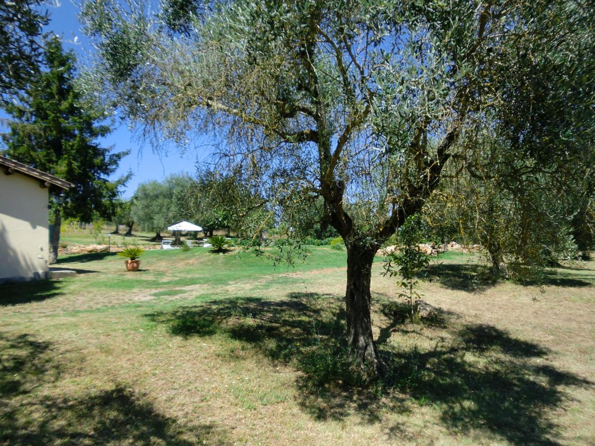 I Massi San Michele in Teverina Exterior foto